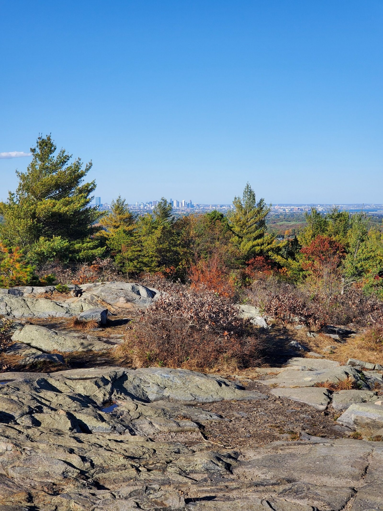 View from a rocky mountain summit with pine trees framing a distant city skyline on the horizon.